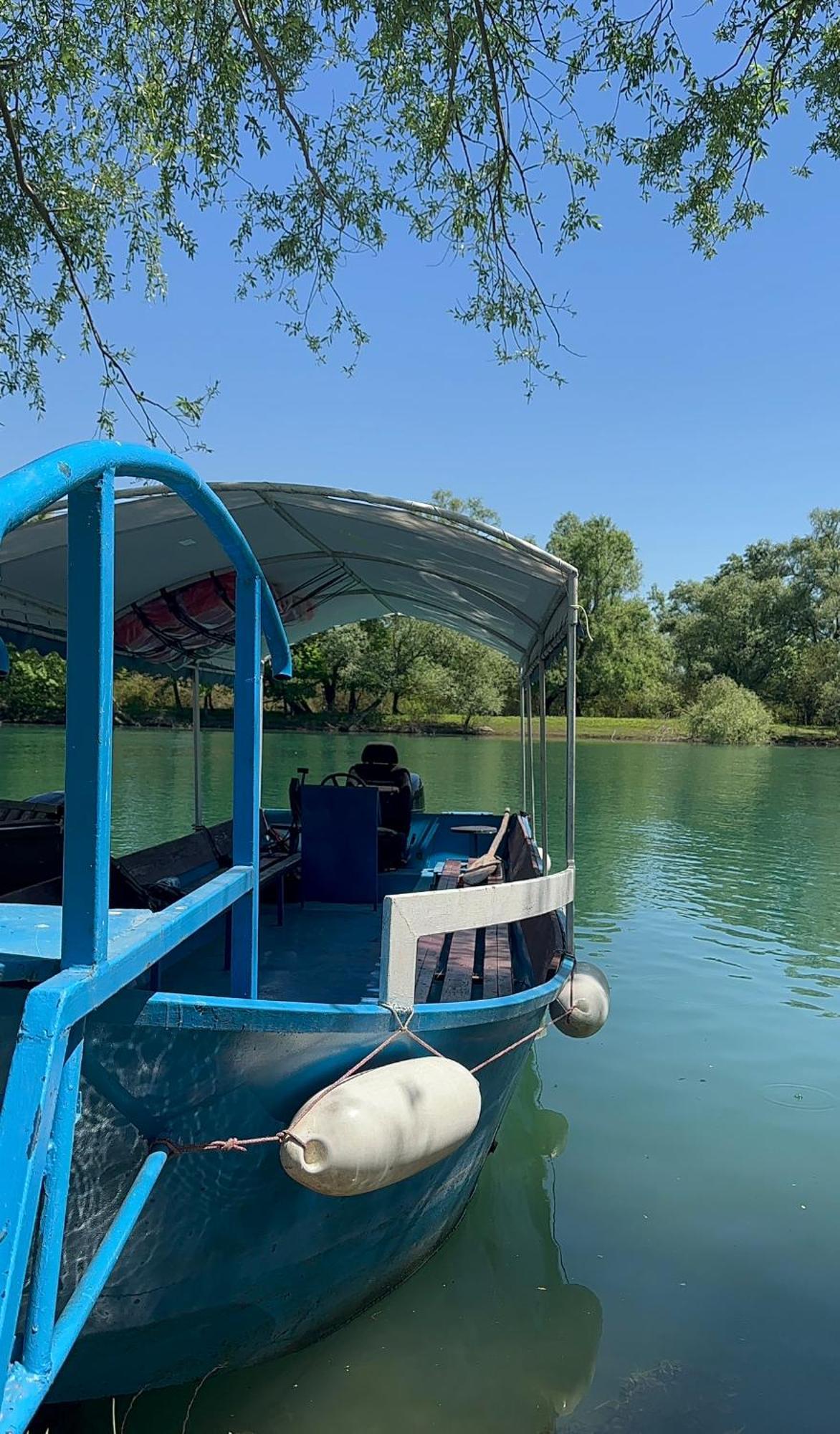 Skadar -karolina *